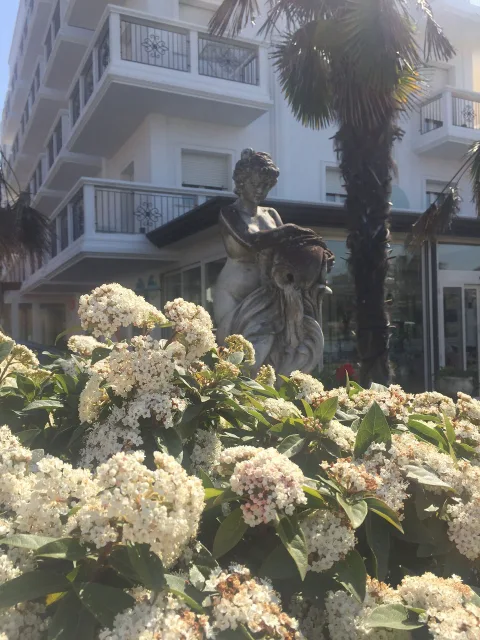 Residence Veliero a Riccione, vacanze al mare - foto 39