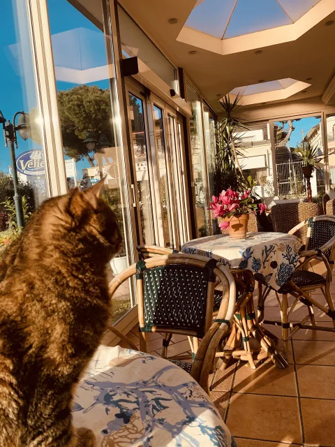 Residence Veliero a Riccione, vacanze al mare - foto 14